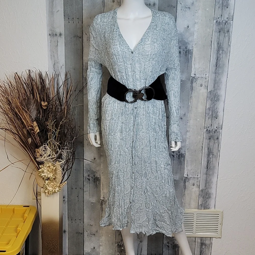 Zara Semi Sheer Wrinkled Button Down Dress - Picture 8 of 16